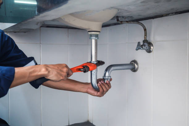 Best Sprinkler Systems  in Ravenna, MI