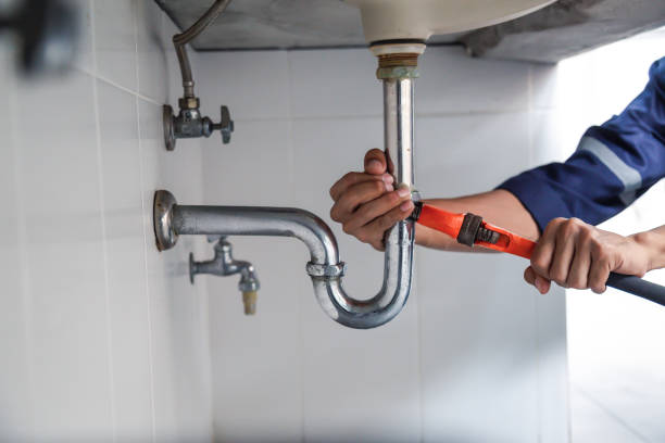 Best Residential Plumbing Services  in Ravenna, MI