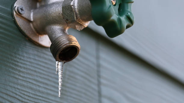 Best Best Plumbers Near Me  in Ravenna, MI