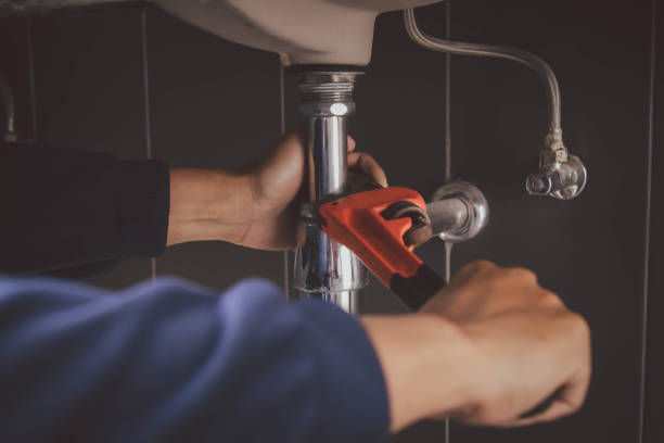 Best Septic Systems  in Ravenna, MI